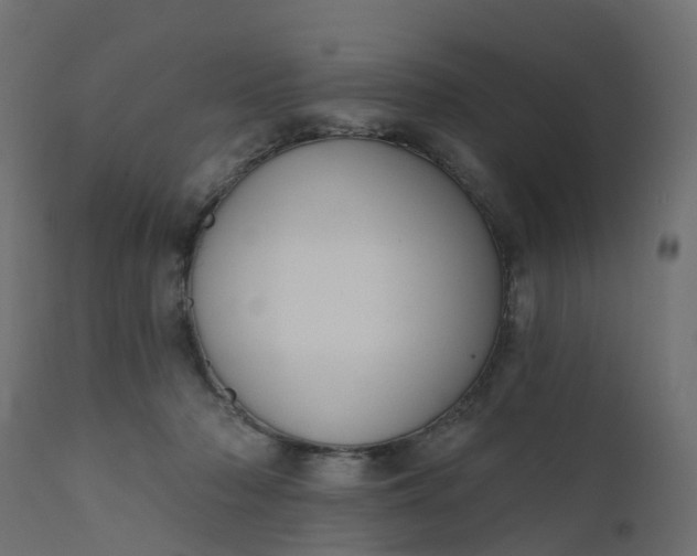 X0000110720318200906261502