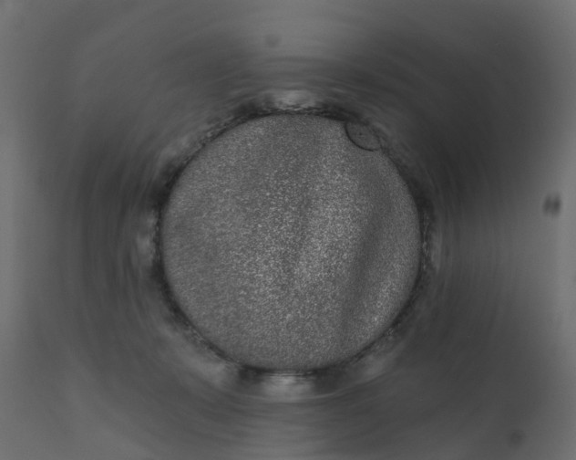 X0000110720319200906261502