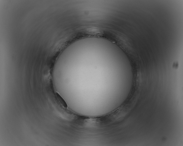 X0000110720320200906261502