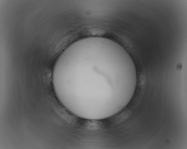 X0000110720321200906261501