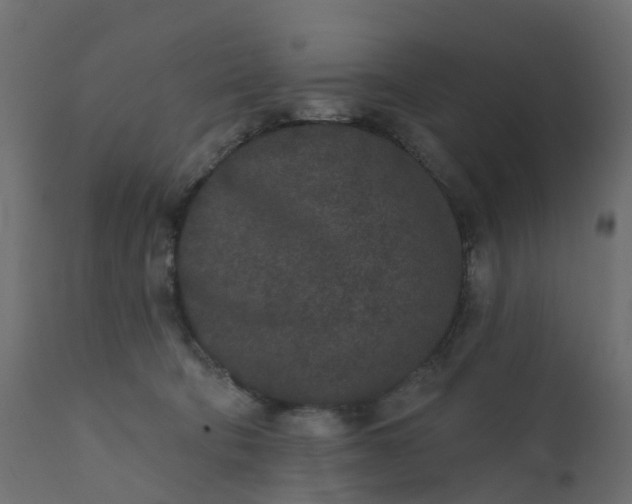 X0000110720322200906261501