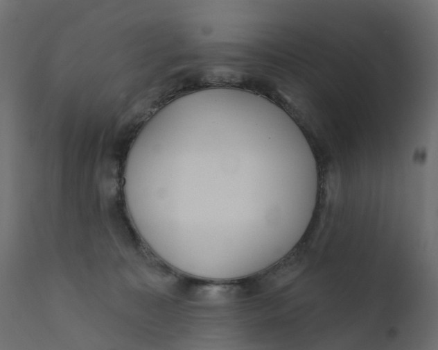 X0000110720323200906261501