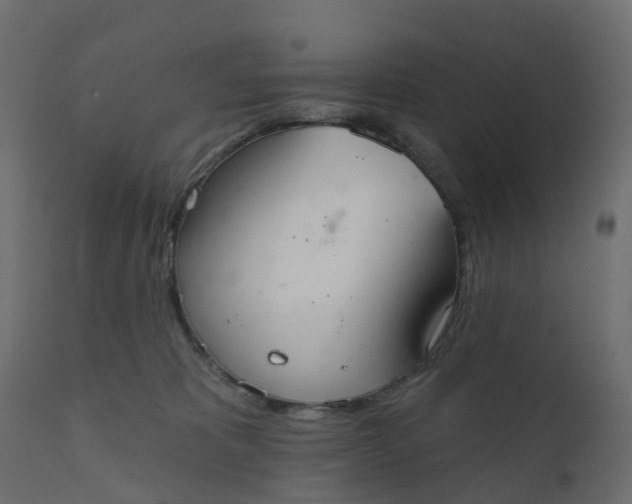 X0000110720325200906261501