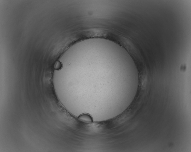 X0000110720326200906261501