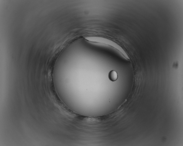 X0000110720327200906261501