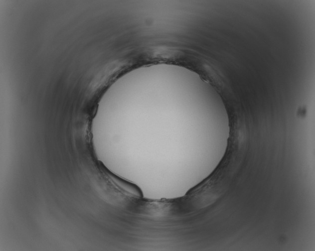 X0000110720328200906261501