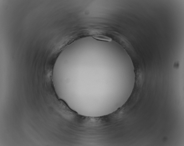 X0000110720329200906261501