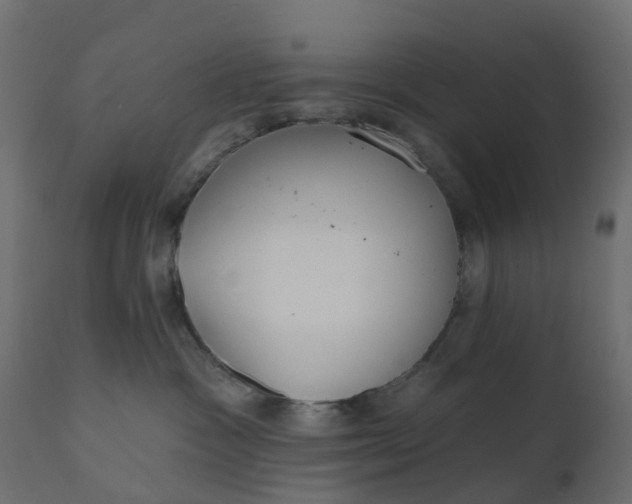 X0000110720333200906261501