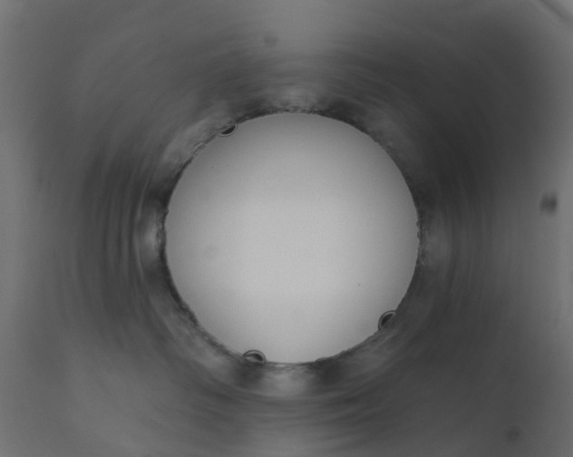 X0000110720334200906261501