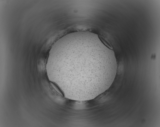 X0000110720335200906261501