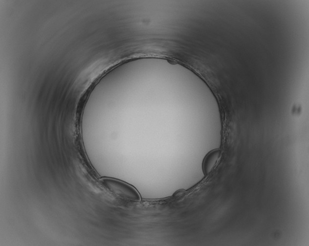 X0000110720338200906261500