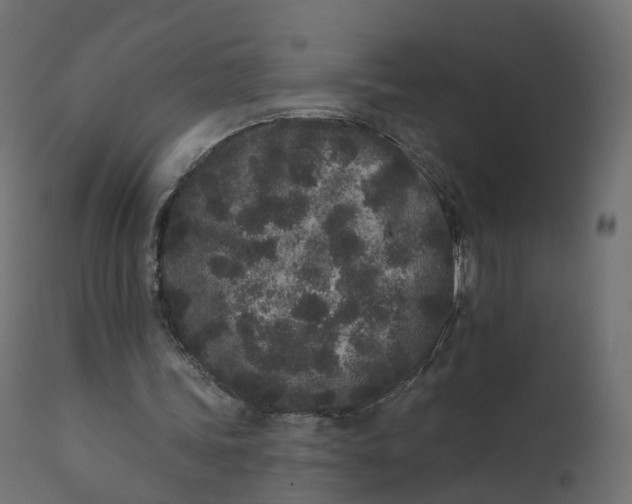 X0000110720339200906261500