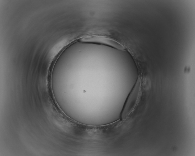 X0000110720340200906261500