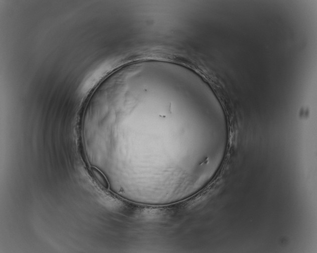 X0000110720341200906261501