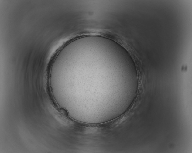 X0000110720342200906261501