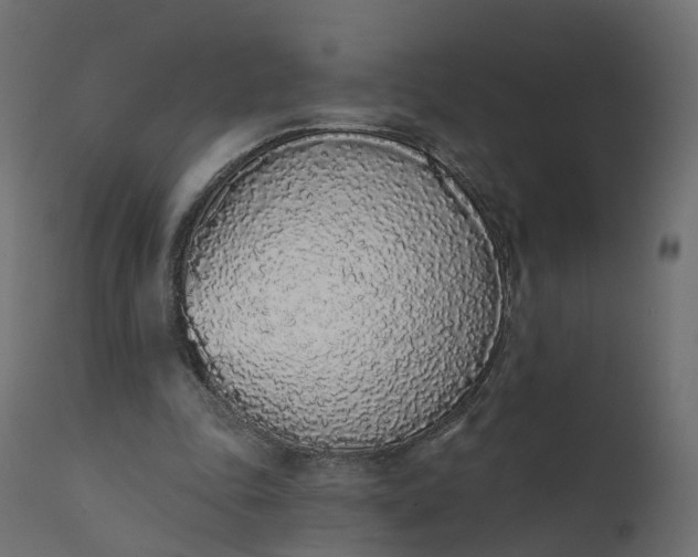 X0000110720343200906261501