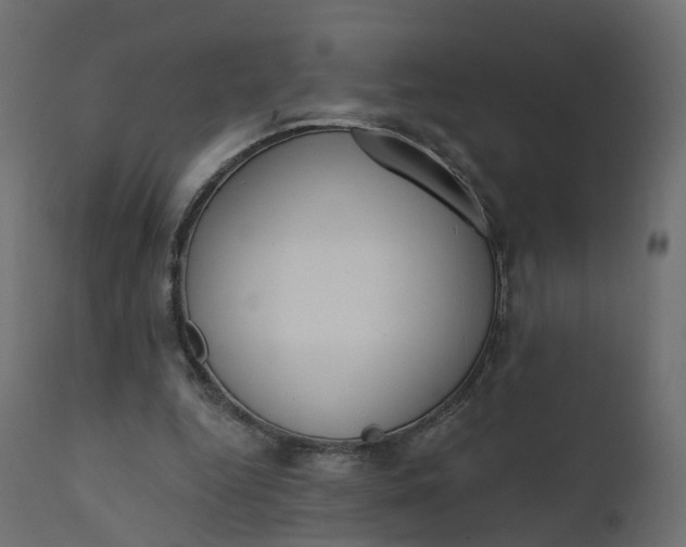 X0000110720344200906261501