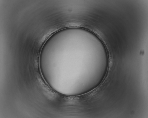 X0000110720345200906261501