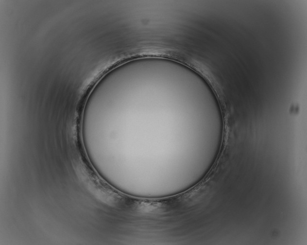 X0000110720346200906261501