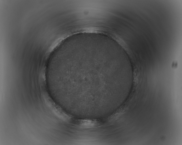 X0000110720347200906261501