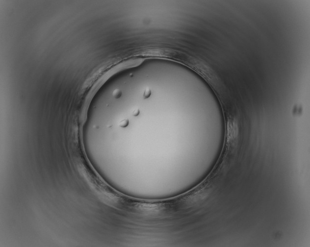 X0000110720349200906261501