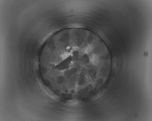 X0000110720351200906261501