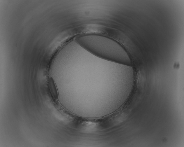 X0000110720352200906261501