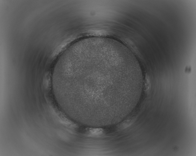 X0000110720355200906261501