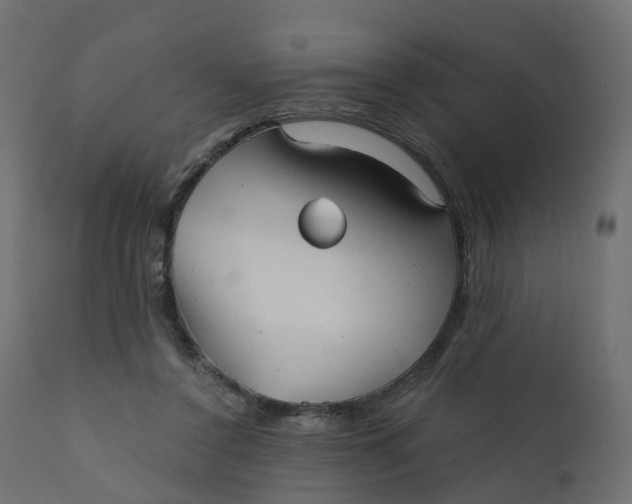 X0000110720356200906261501