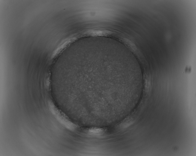 X0000110720357200906261501