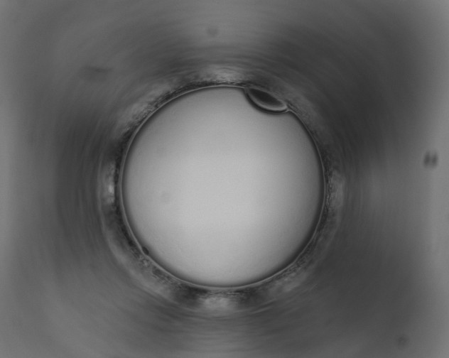 X0000110720358200906261501