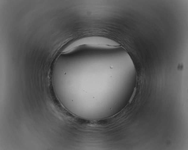 X0000110720360200906261501