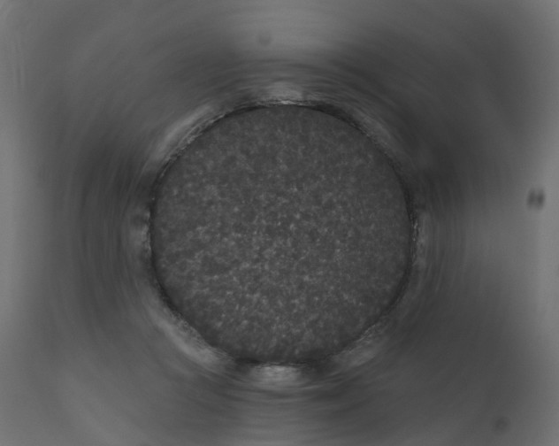 X0000110720361200906261501