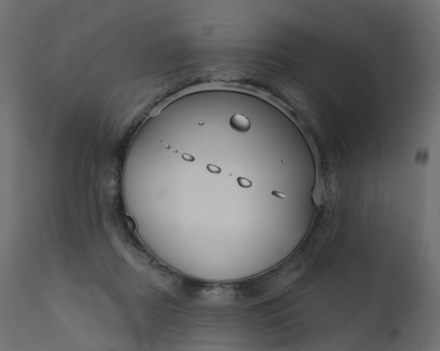 X0000110720362200906261501