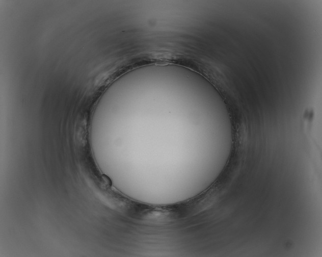 X0000110720364200906261501