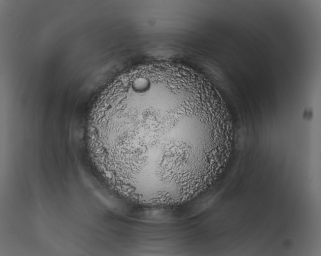 X0000110720365200906261501