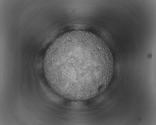 X0000110720367200906261501