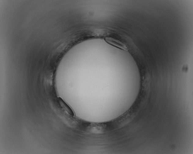 X0000110720368200906261501