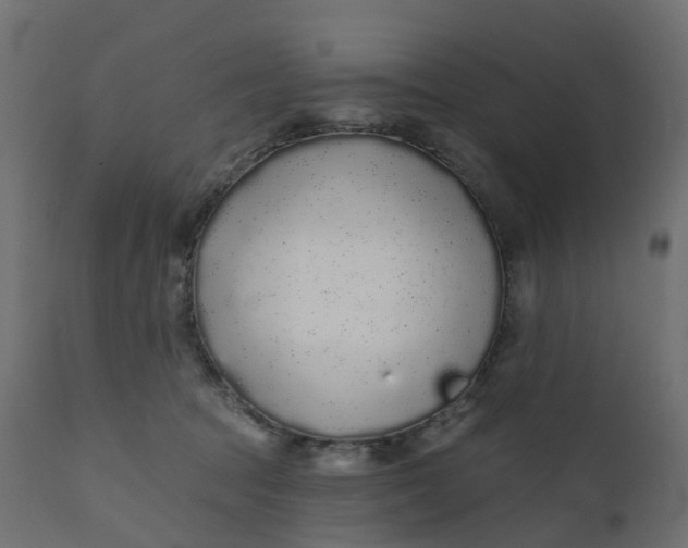 X0000110720369200906261501