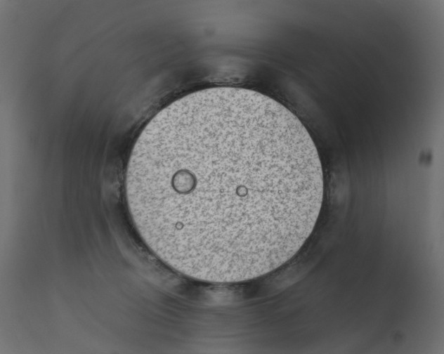 X0000110720370200906261501