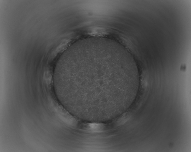 X0000110720371200906261501