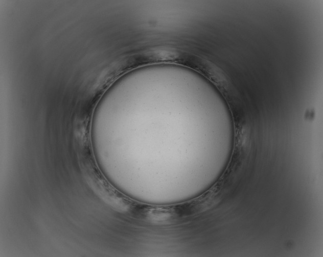 X0000110720373200906261501