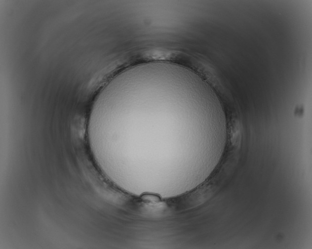 X0000110720374200906261501