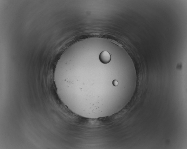 X0000110720376200906261501