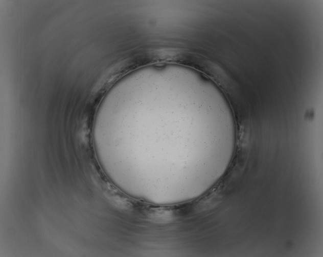 X0000110720377200906261501