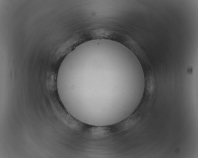 X0000110720378200906261501