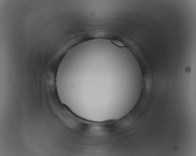 X0000110720380200906261501