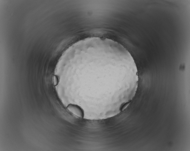 X0000110720381200906261501