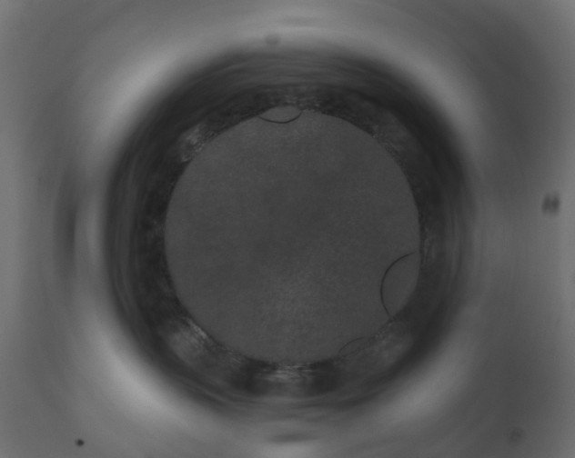 X0000110720383200906261501