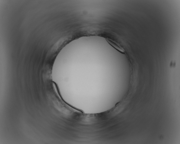 X0000110720384200906261501